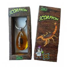 Scorpion Keychain Box